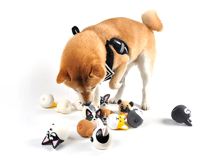 Dog Face Squeaky Toy